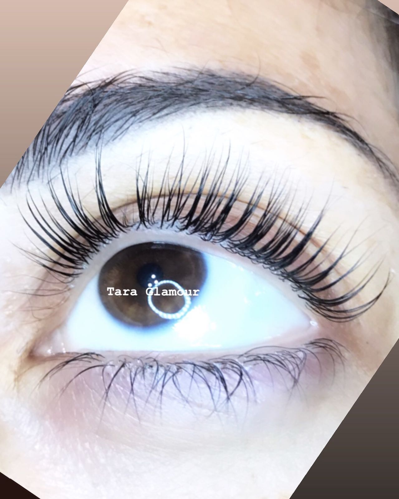 Primer plano de un ojo marrón con las pestañas elevadas y curvadas por un lifting